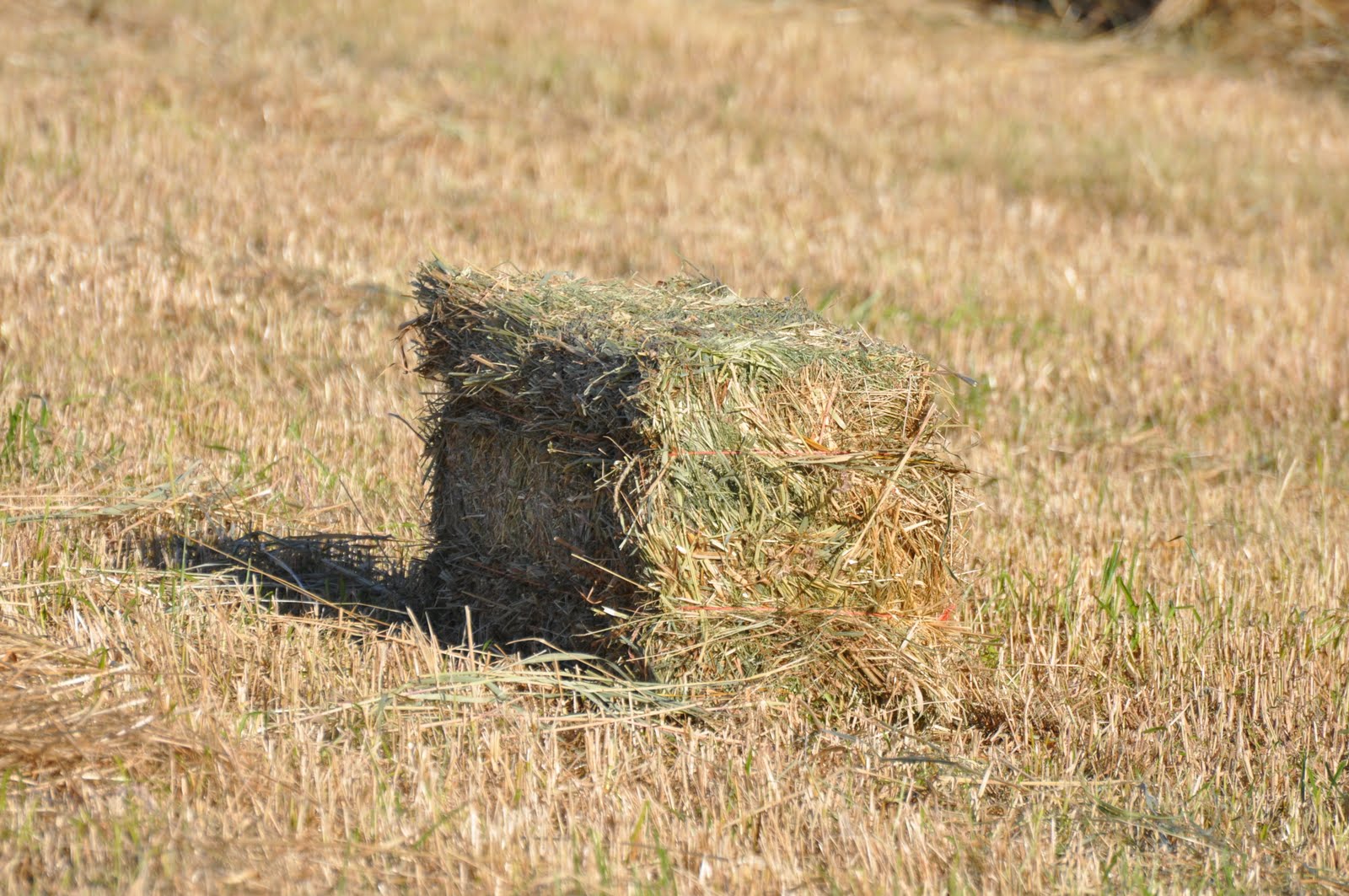 Meat How Hay Bales Are Made