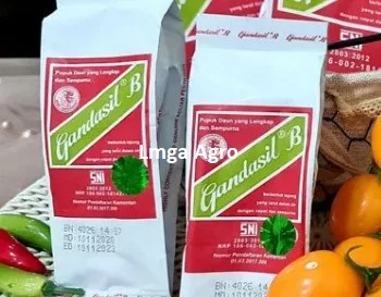 Pupuk Gandasil B, Pupuk Gandasil, Gandasil B Manfaat, Pupuk Gandasil, Kandungan Gandasil B, Kandungan Gandasil Buah, Harga Gandasil B, Jual Pupuk Gandasil, Toko Pertanian, Toko Pertanian Terdekat, Lmga Agro