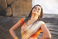 Bhavana, latest, wet, saree, pics