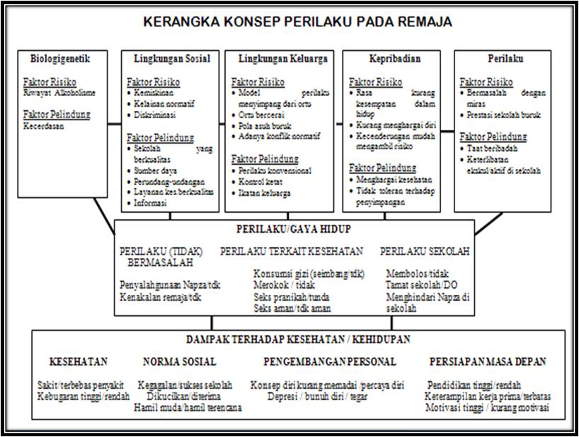 Pengertian Kerangka Konsep Adalah