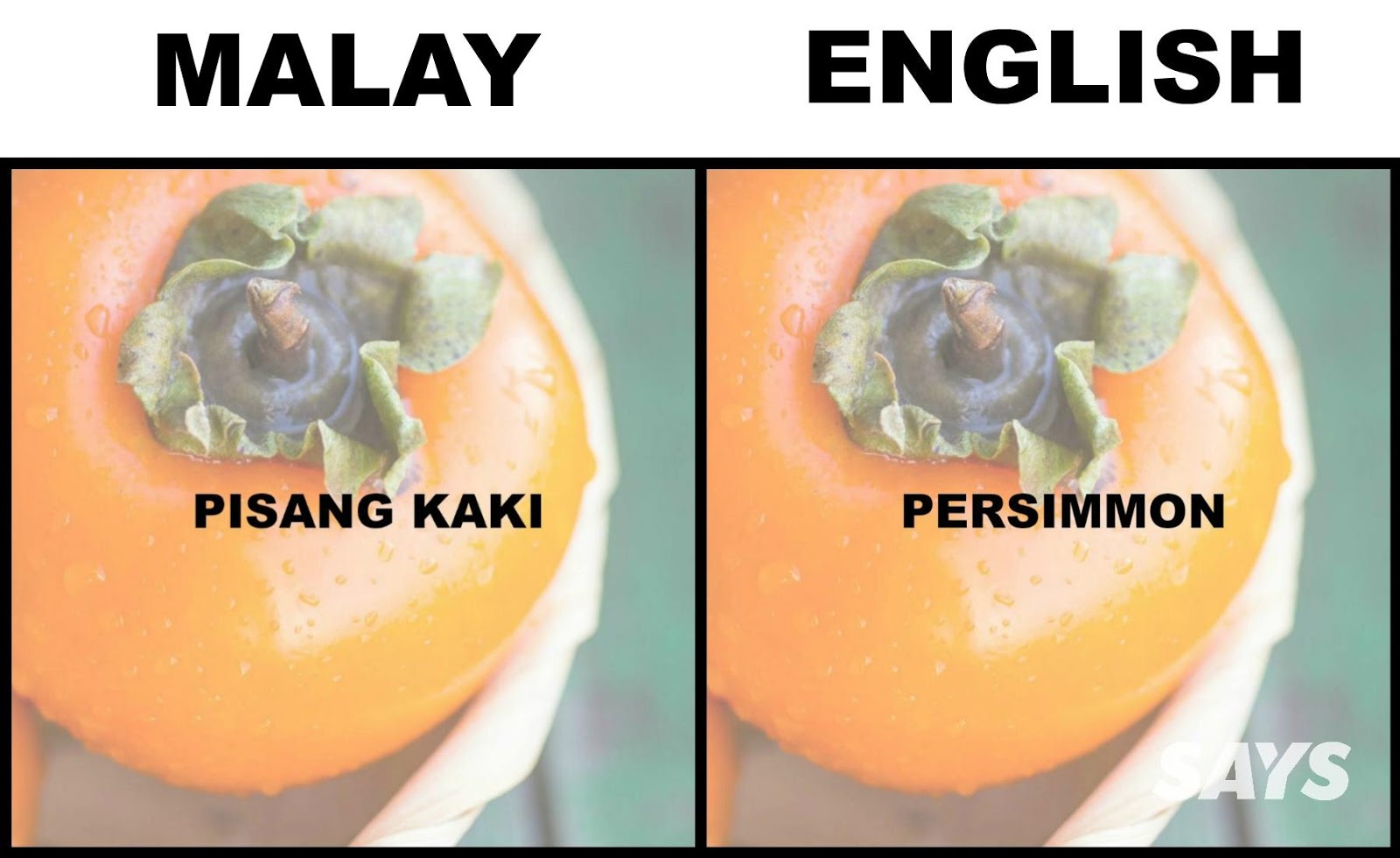 Anda rasa, apakah pandan dan ciku dalam bahasa Inggeris?