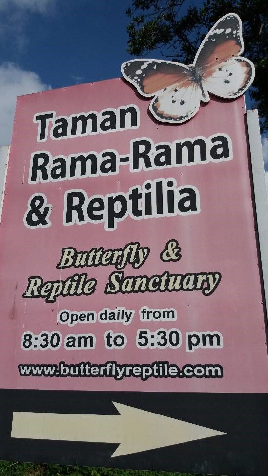 Mohd Faiz Bin Abdul Manan Taman Rama Rama Reptilia Melaka