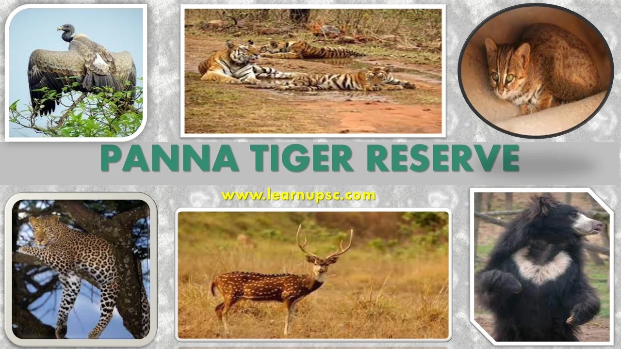 Panna Tiger Reserve