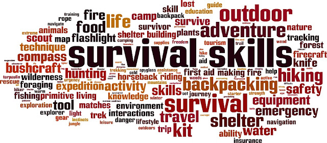 Free Survival Guide PDF