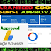 How I Achieved Google AdSense Approval in Just 21 Days