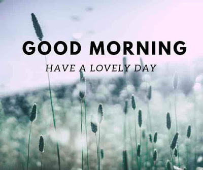 60+ Good morning wishes images for Fb Dpz whatsapp Status Free