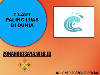 7 Laut Paling Luas Di Dunia, Yang Pertama Letaknya Dekat Negara Indonesia