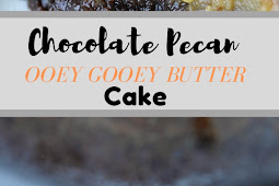 Chocolate Pecan Ooey Gooey Butter Cake