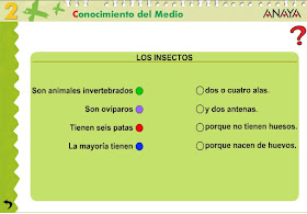 http://www.ceiploreto.es/sugerencias/A_1/Recursosdidacticos/SEGUNDO/datos/03_cmedio/03_Recursos/actividades/03/act9.htm