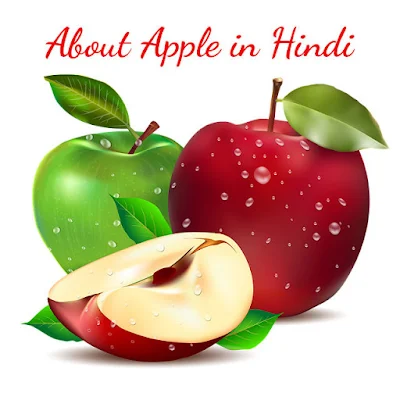 About Apple in Hindi - सेब से जूँडी खास जानकारी हिंदी में