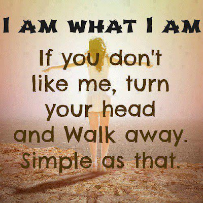 I am what I am
If you don't like me, turn your head and walk away. Simple as that
