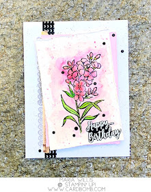 #cardbomb, Maria Willis, Stampin' Up!, Southern Serenade, watercolor, flowers, happy birthday, technique, cards, stamping, handmade, crafty, creative, ink, paper, papercraft, color, diy, rubber stamping, card making, color, gift giving