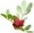 clip_image00613
