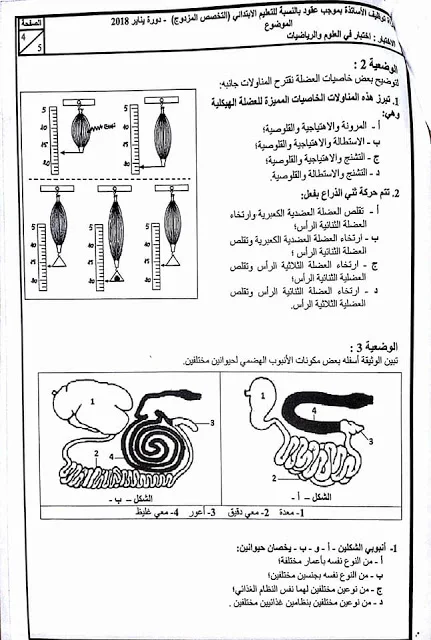  نماذج مباراة التوظيف بموجب عقود مادة العلوم السلك التعليم الابتدائي دورة يناير 2018