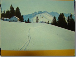 Europe brochure 135