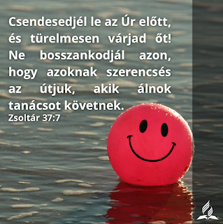 Kép