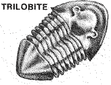 clip_image045