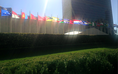 UN Flags