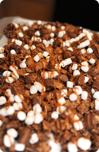 btschexmix11