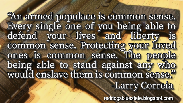 “An armed populace is common sense. Every single one of you being able to defend your lives and liberty is common sense. Protecting your loved ones is common sense. The people being able to stand against any who would enslave them is common sense.” -Larry Correia