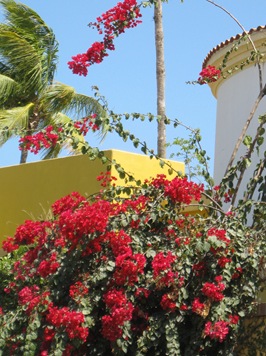Cabo San Lucas 3 090