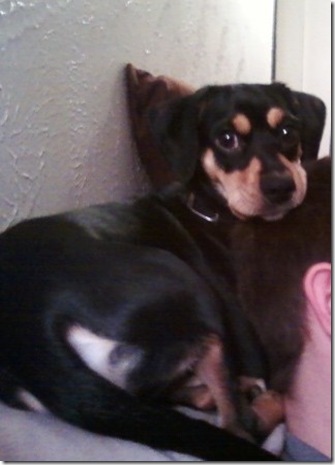 Daddy's head as a pillow
