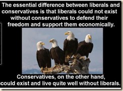 libcons