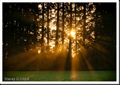 Blog_20101028_1