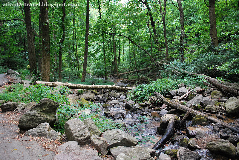 Водопад в парке Amicalola Falls State Park