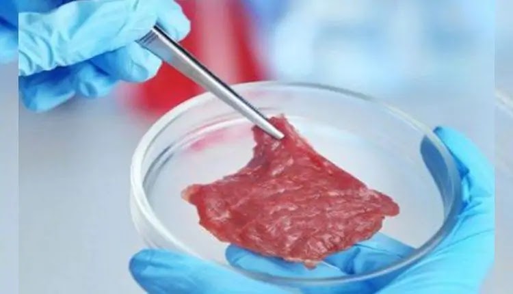 Animals,Chicken,Clean Meat,Cultured Meat,Eat Just Inc.,GOOD Meat Brand,IIT Guwahati,Josh Tetrick,Lab Grown Chicken,Lab-Grown Meat,Meat Exports,SIngapore,Latest,News,