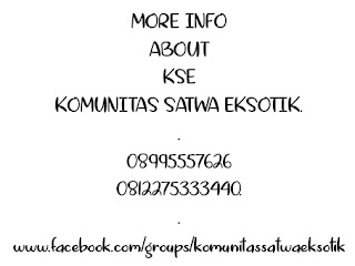 komunitas eksotik salatiga,komunitas reptil salatiga,daftar komunitas-komunitas di salatiga,