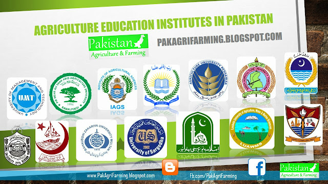 list of agricultural education institute in pakistan