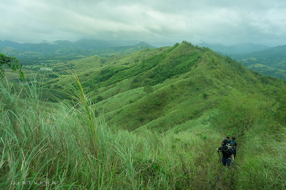 Rolling hills of Mt. Maynoba