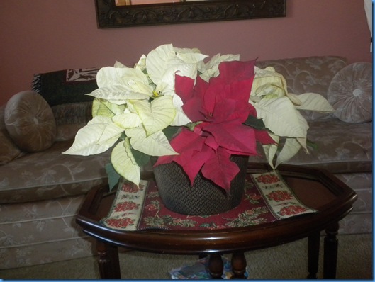 DSCN2886_1303