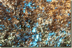 JB_20090523_0410