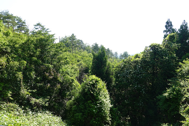 鳥取県西伯郡南部町東上 鎌倉山グリーンライン