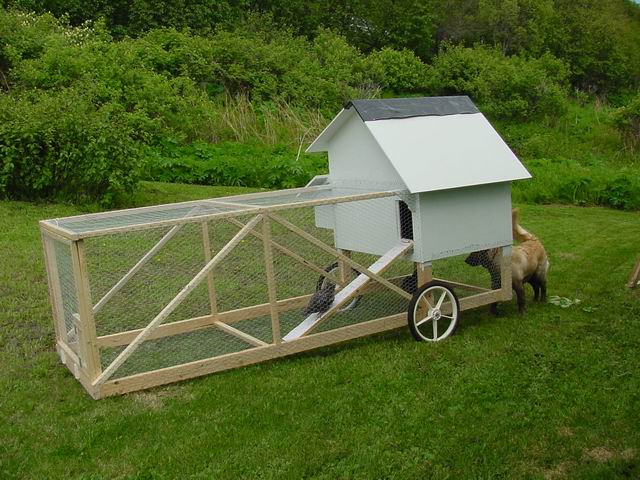 SustainaScapes Brings You Urban Farming: Chicken Tractor