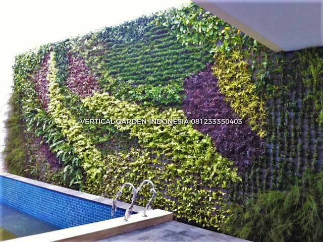 VERTICAL GARDEN INDONESIA SPESIALIS JASA PEMBUATAN VERTICAL GARDEN DI CIBUBUR DAN DI SELURUH WILAYAH CIBUBUR  DENGAN TENAGA YANG PROFESIONAL DAN DAPAT DI PERCAYA YANG SELALU MENGUTAMAKAN SEBUAH MUTU DAN KUALITAS PEMASANGAN VERTICAL GARDEN/TAMAN DINDING, JASA TUKANG TAMAN VERTICAL CIBUBUR , JASA VERTICAL GARDEN CIBUBUR 