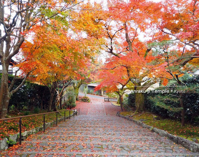[京都] 安楽寺の紅葉