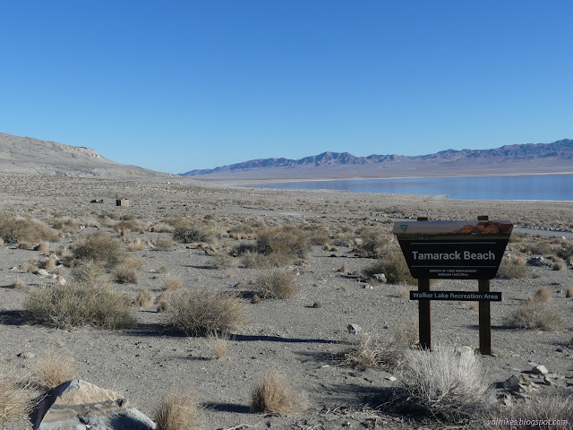 00: sign and a sparse campground