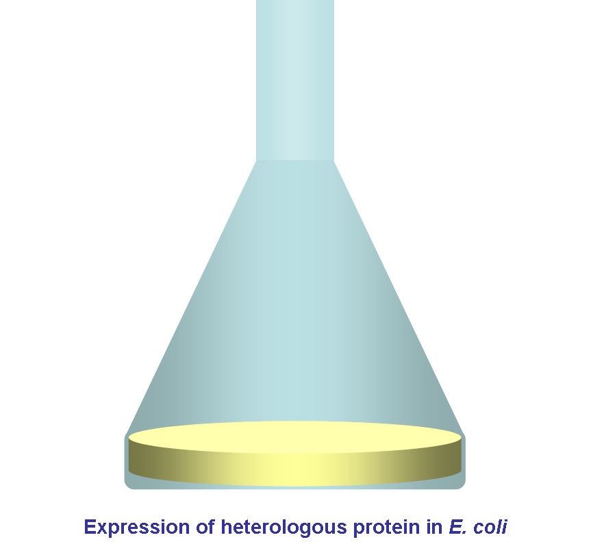 expression of recombinant