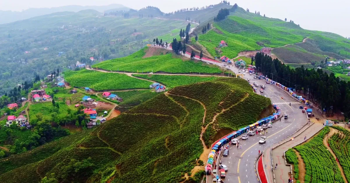 www.npl-nepal.com/Ilam kanyam tea garden