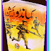 Commando Action Boy Series By A Hameed Urdu Books PDF Free Download