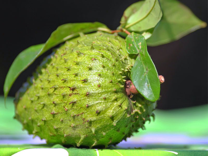 manfaat buah sirsak