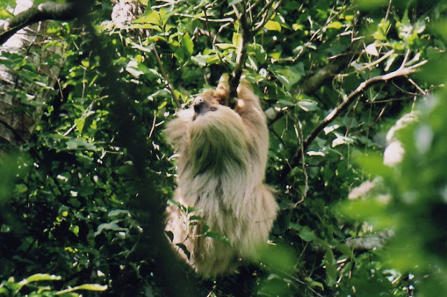 Parque Nacional Juan Castro Blanco