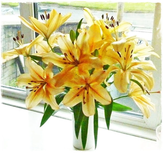 beautiful-lilies