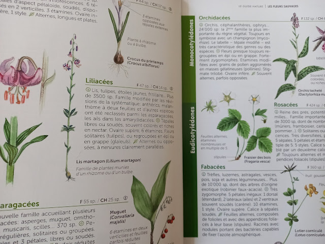 Le guide nature : Les fleurs sauvages. P14-15