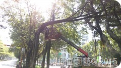 IMAG7207