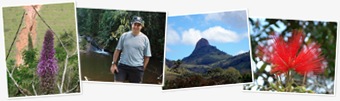 Exibir Paisagens e Lugares