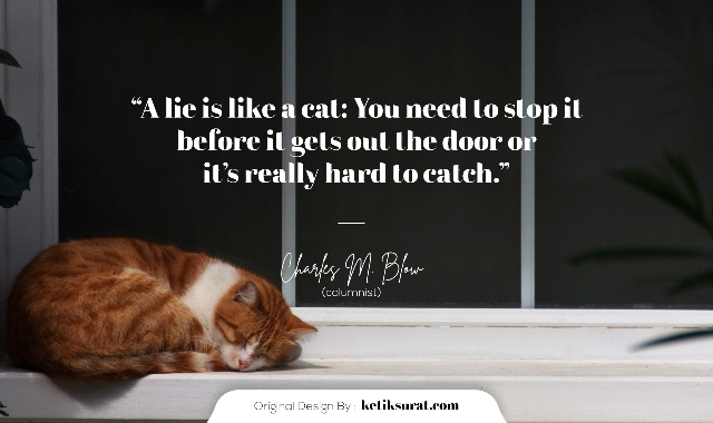 50 Quotes Bahasa  Inggris  About Cat  dan Artinya Ketik Surat